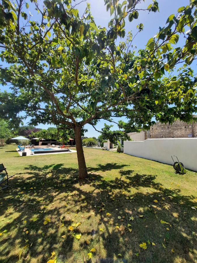 Gite 4 Personnes Avec Piscine Entre Saintes Et Royan Balanzac Экстерьер фото