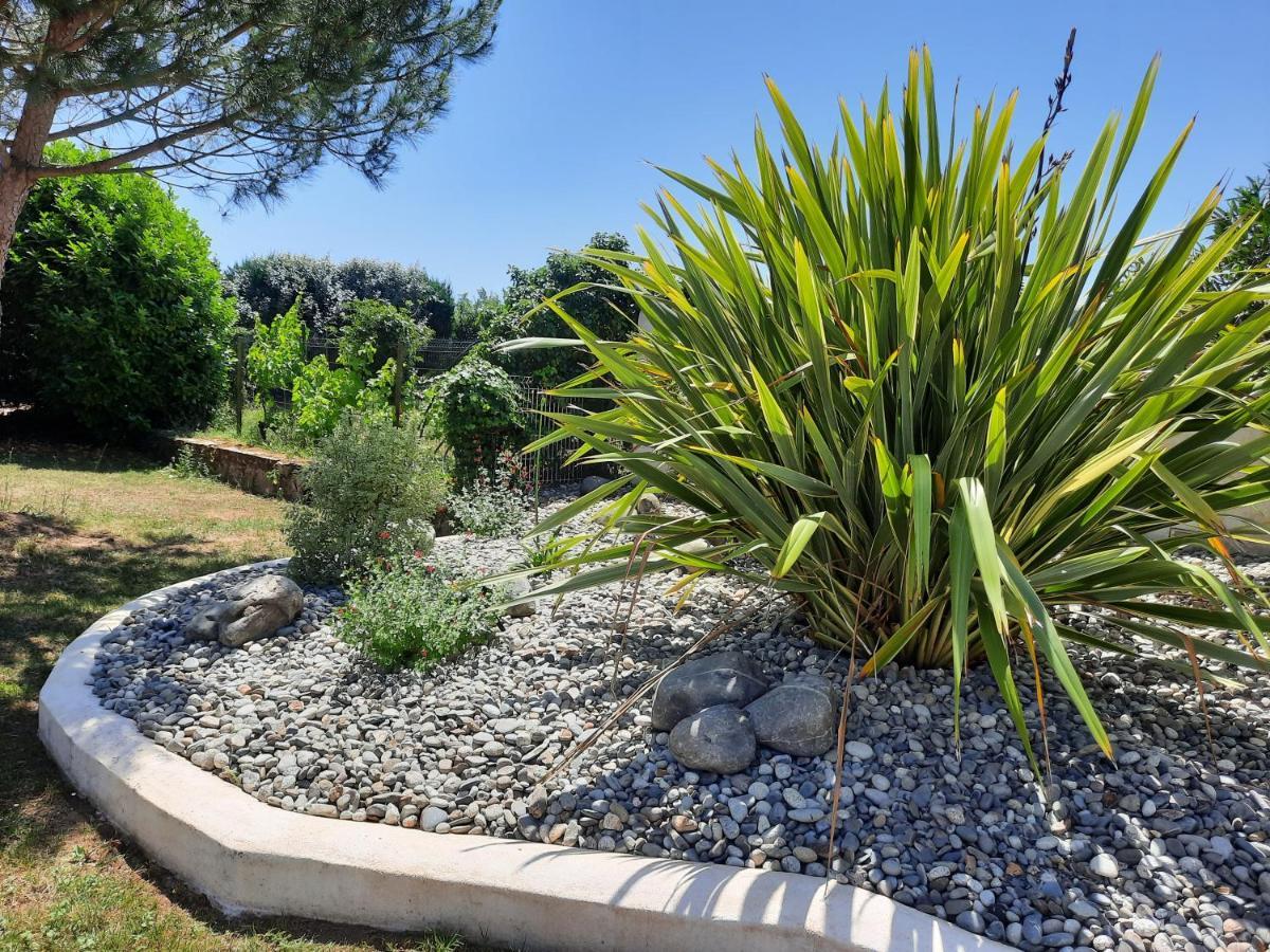 Gite 4 Personnes Avec Piscine Entre Saintes Et Royan Balanzac Экстерьер фото